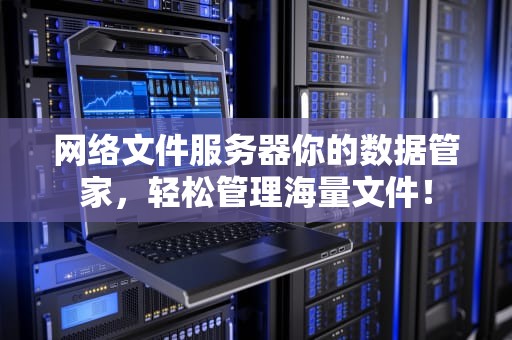 网络文件服务器你的数据管家，轻松管理海量文件！