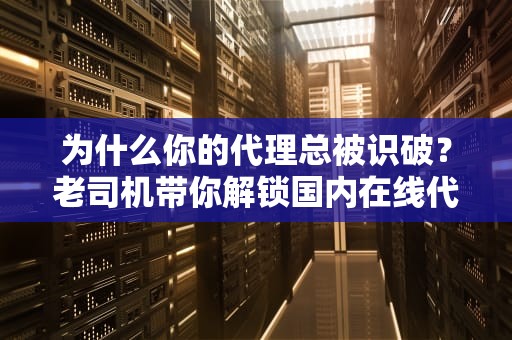 为什么你的代理总被识破？老司机带你解锁国内在线代理的隐藏玩法