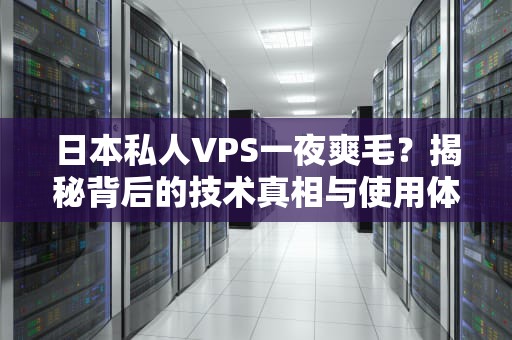 日本私人VPS一夜爽毛？揭秘背后的技术真相与使用体验