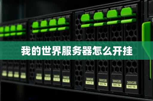 我的世界服务器怎么开挂