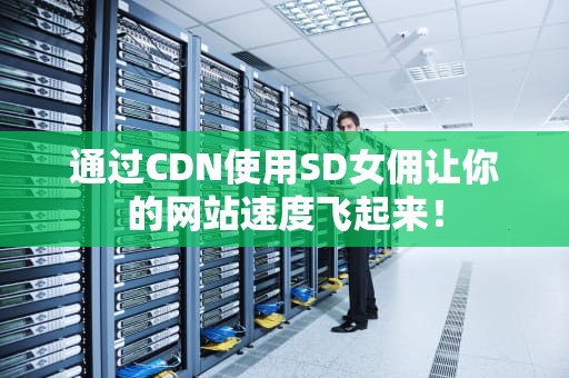 通过CDN使用SD女佣让你的网站速度飞起来！