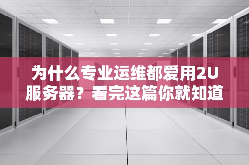 为什么专业运维都爱用2U服务器？看完这篇你就知道怎么选了！