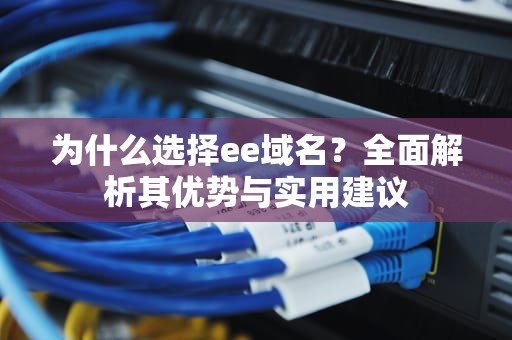 为什么选择ee域名？全面解析其优势与实用建议