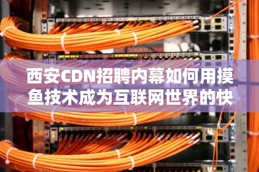 西安CDN招聘内幕如何用摸鱼技术成为互联网世界的快递之王？