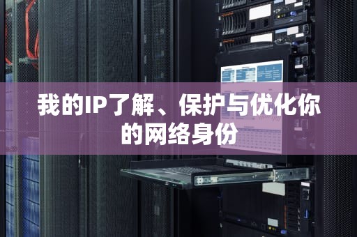 我的IP了解、保护与优化你的网络身份
