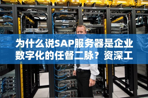 为什么说SAP服务器是企业数字化的任督二脉？资深工程师带你解剖这只技术巨兽