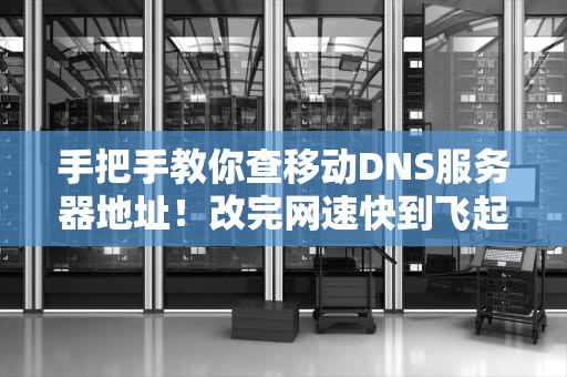手把手教你查移动DNS服务器地址！改完网速快到飞起（全网最全解析）