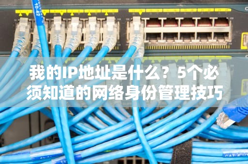 我的IP地址是什么？5个必须知道的网络身份管理技巧