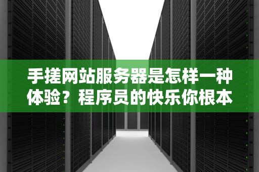 手搓网站服务器是怎样一种体验？程序员的快乐你根本想象不到！
