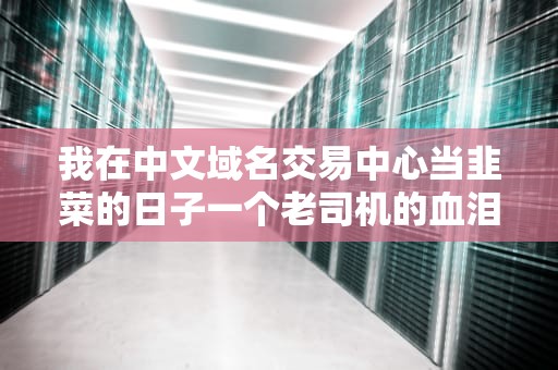 我在中文域名交易中心当韭菜的日子一个老司机的血泪避坑指南