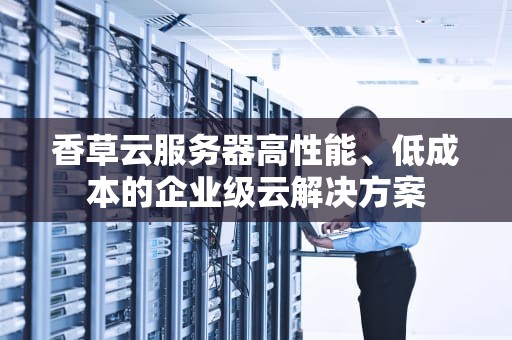 香草云服务器高性能、低成本的企业级云解决方案
