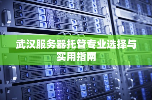 武汉服务器托管专业选择与实用指南