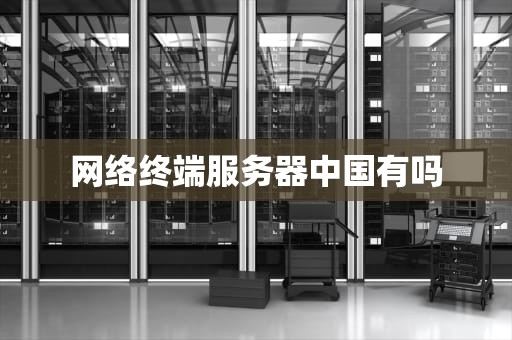 网络终端服务器中国有吗