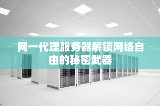 网一代理服务器解锁网络自由的秘密武器