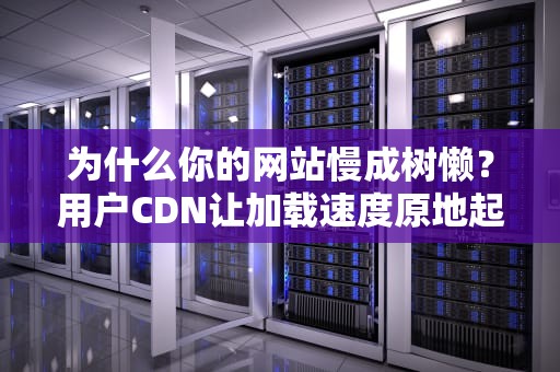 为什么你的网站慢成树懒？用户CDN让加载速度原地起飞的神操作！