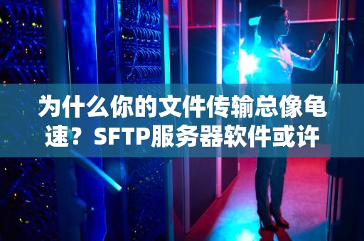 为什么你的文件传输总像龟速？SFTP服务器软件或许能拯救你！