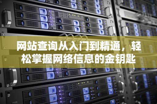 网站查询从入门到精通，轻松掌握网络信息的金钥匙