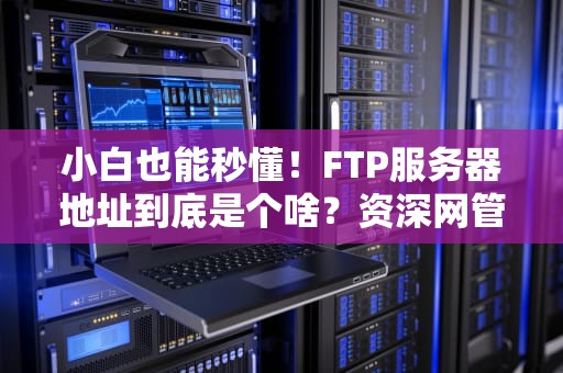 小白也能秒懂！FTP服务器地址到底是个啥？资深网管在线教学