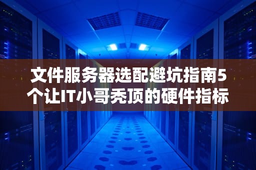 文件服务器选配避坑指南5个让IT小哥秃顶的硬件指标你踩过几个？