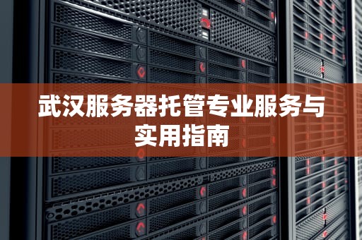 武汉服务器托管专业服务与实用指南