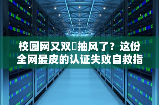 校园网又双叒抽风了？这份全网最皮的认证失败自救指南请收好
