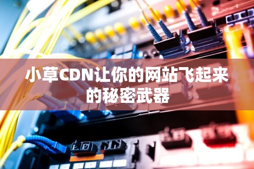 小草CDN让你的网站飞起来的秘密武器