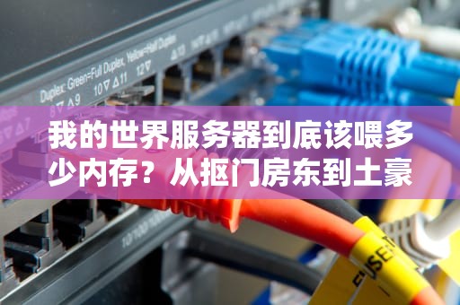 我的世界服务器到底该喂多少内存？从抠门房东到土豪食堂的进阶指南