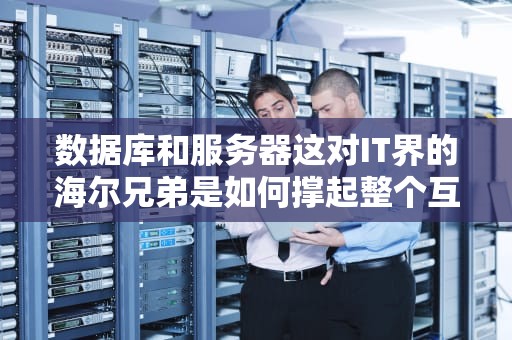 数据库和服务器这对IT界的海尔兄弟是如何撑起整个互联网的？