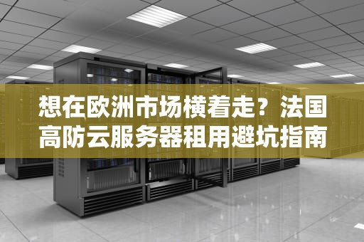 想在欧洲市场横着走？法国高防云服务器租用避坑指南（附吃货级科普）