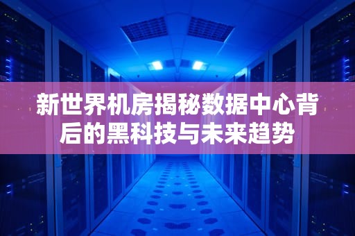 新世界机房揭秘数据中心背后的黑科技与未来趋势