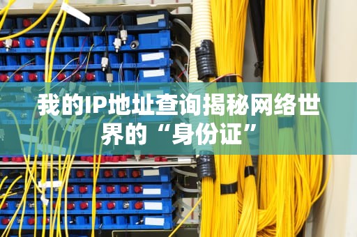 我的IP地址查询揭秘网络世界的“身份证”