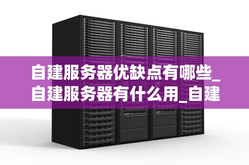 自建服务器优缺点有哪些_自建服务器有什么用_自建服务器的优缺点分析