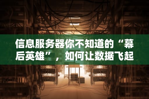 信息服务器你不知道的“幕后英雄”，如何让数据飞起来？