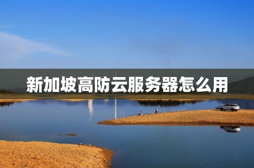 新加坡高防云服务器怎么用