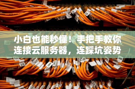 小白也能秒懂！手把手教你连接云服务器，连踩坑姿势都给你标好了！
