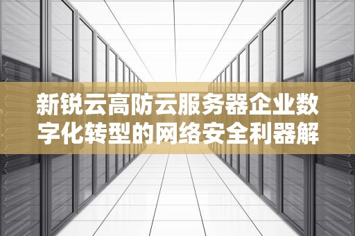 新锐云高防云服务器企业数字化转型的网络安全利器解析