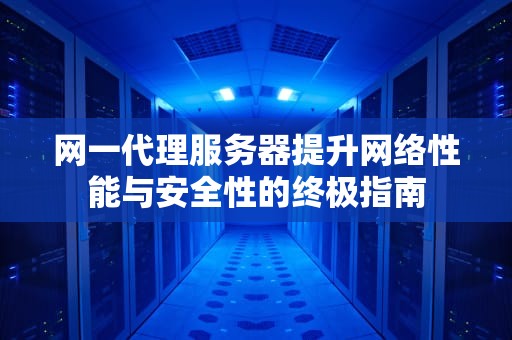 网一代理服务器提升网络性能与安全性的终极指南
