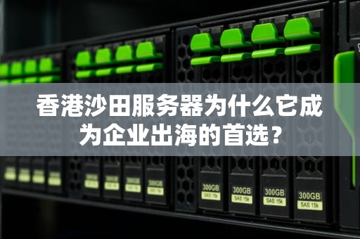 香港沙田服务器为什么它成为企业出海的首选？