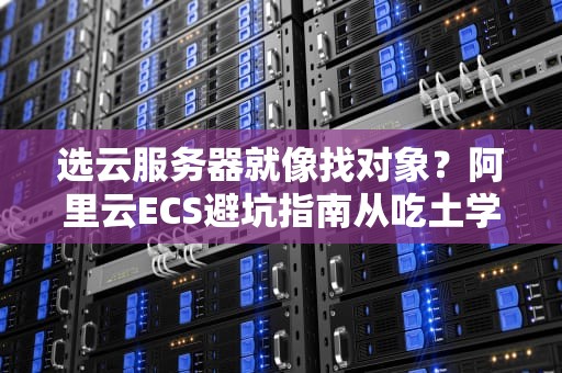 选云服务器就像找对象？阿里云ECS避坑指南从吃土学生到BAT架构师的血泪总结