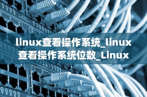 linux查看操作系统_linux查看操作系统位数_Linux操作系统的查看与理解