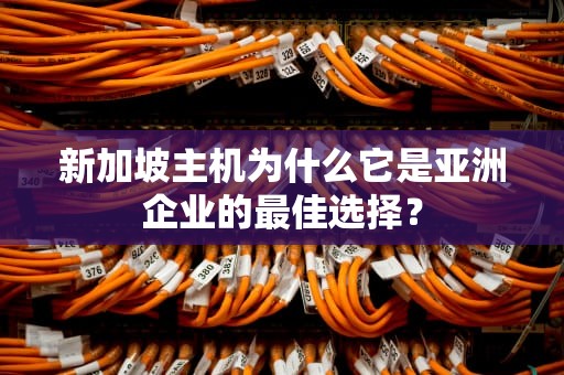 新加坡主机为什么它是亚洲企业的最佳选择？
