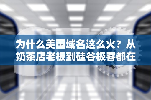 为什么美国域名这么火？从奶茶店老板到硅谷极客都在抢注的us秘密