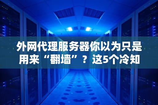 外网代理服务器你以为只是用来“翻墙”？这5个冷知识让你惊掉下巴！