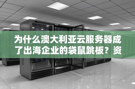 为什么澳大利亚云服务器成了出海企业的袋鼠跳板？资深运维老司机带你避坑