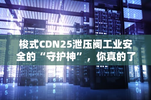 梭式CDN25泄压阀工业安全的“守护神”，你真的了解它吗？
