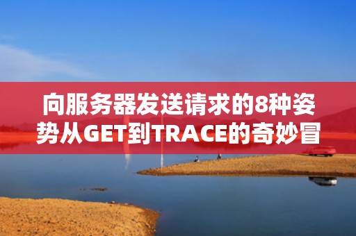 向服务器发送请求的8种姿势从GET到TRACE的奇妙冒险