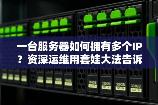 一台服务器如何拥有多个IP？资深运维用套娃大法告诉你真相！