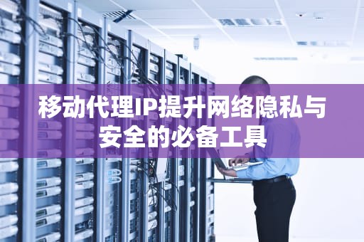 移动代理IP提升网络隐私与安全的必备工具