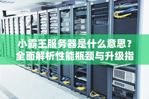 小霸王服务器是什么意思？全面解析性能瓶颈与升级指南