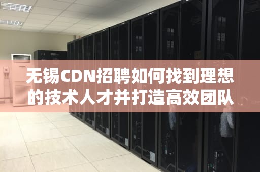 无锡CDN招聘如何找到理想的技术人才并打造高效团队